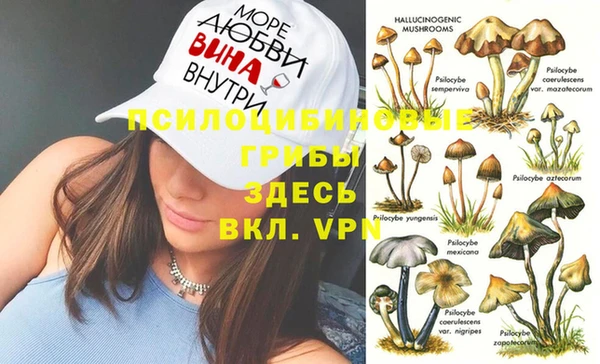 мет Арсеньев