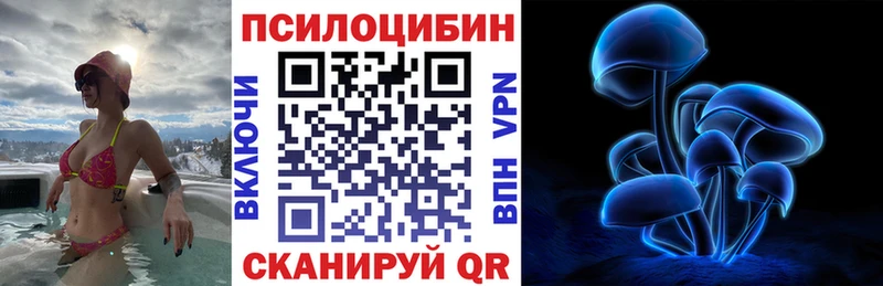 Псилоцибиновые грибы Psilocybine cubensis  Сыктывкар 